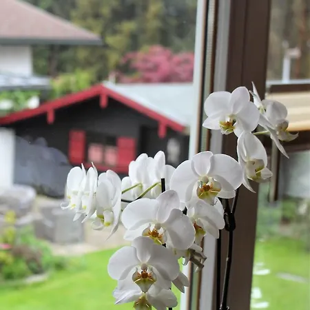 Gaestehaus Schmid 3* Oberstaufen